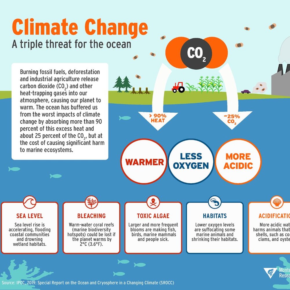 What is Climate Change?-BRAND NEW, Last ONE